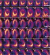 sistema cardiovascular